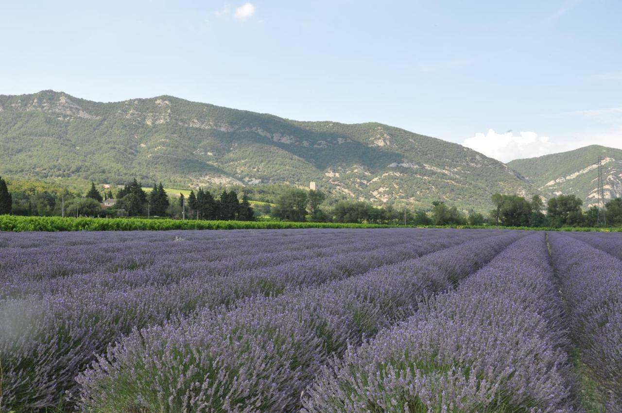 Gites Du Chateau D'Alencon Le Pegue ภายนอก รูปภาพ