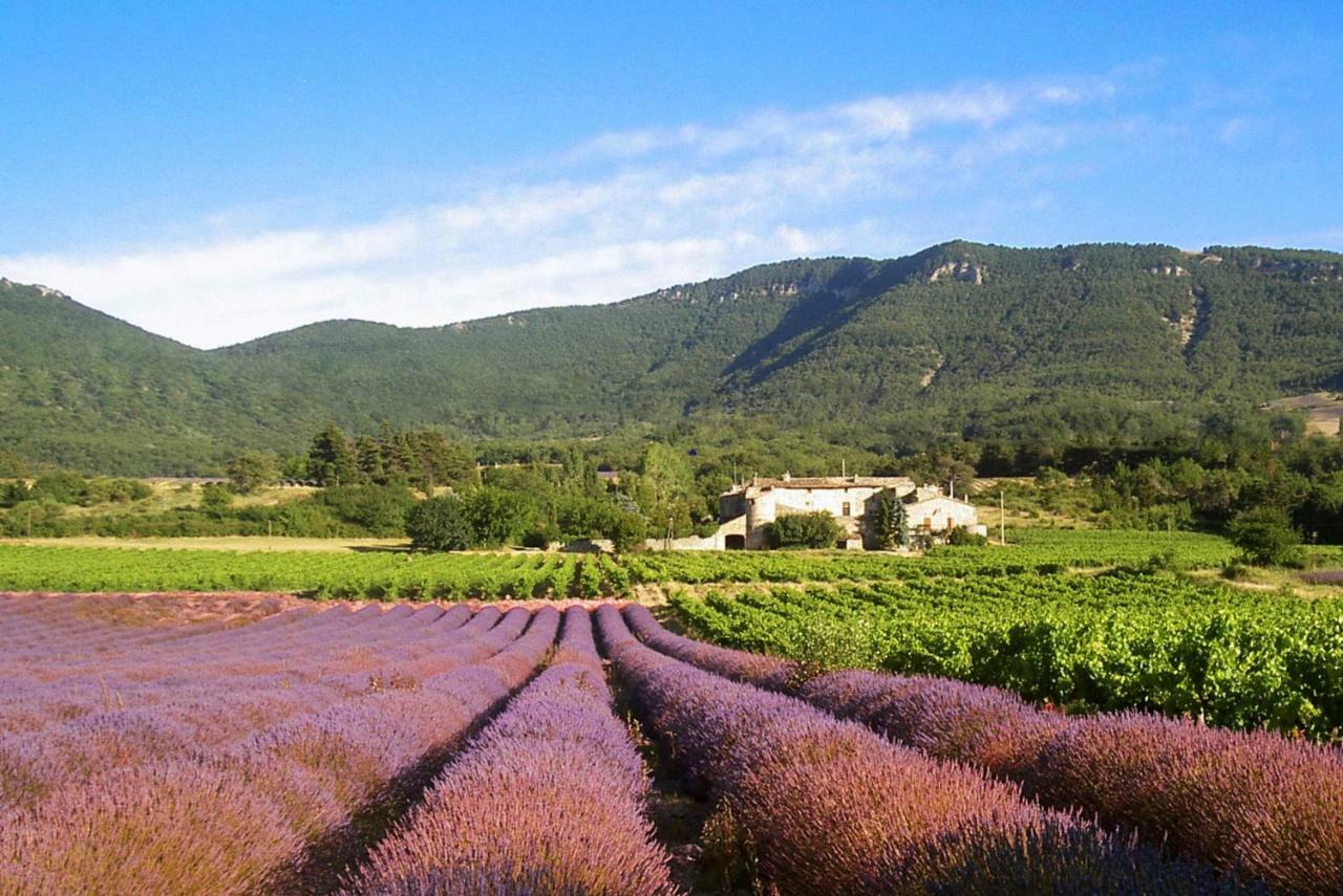 Gites Du Chateau D'Alencon Le Pegue ภายนอก รูปภาพ
