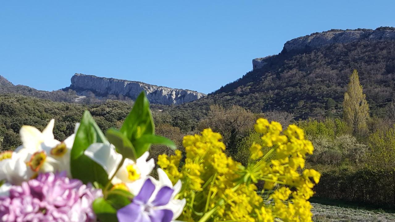 Gites Du Chateau D'Alencon Le Pegue ภายนอก รูปภาพ