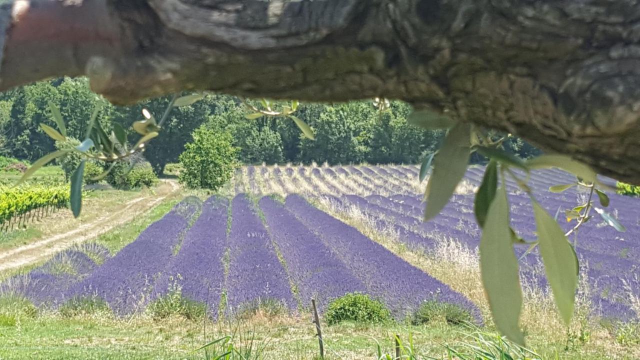 Gites Du Chateau D'Alencon Le Pegue ภายนอก รูปภาพ