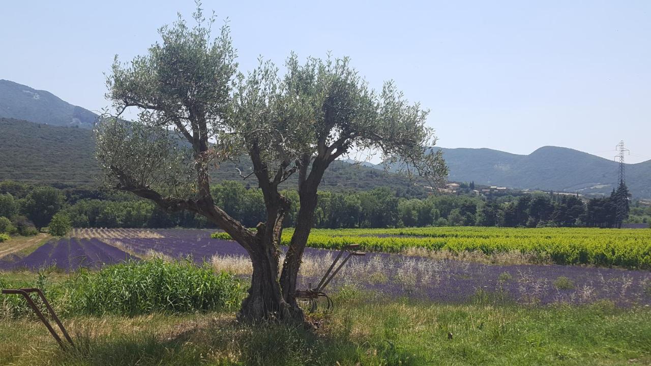 Gites Du Chateau D'Alencon Le Pegue ภายนอก รูปภาพ